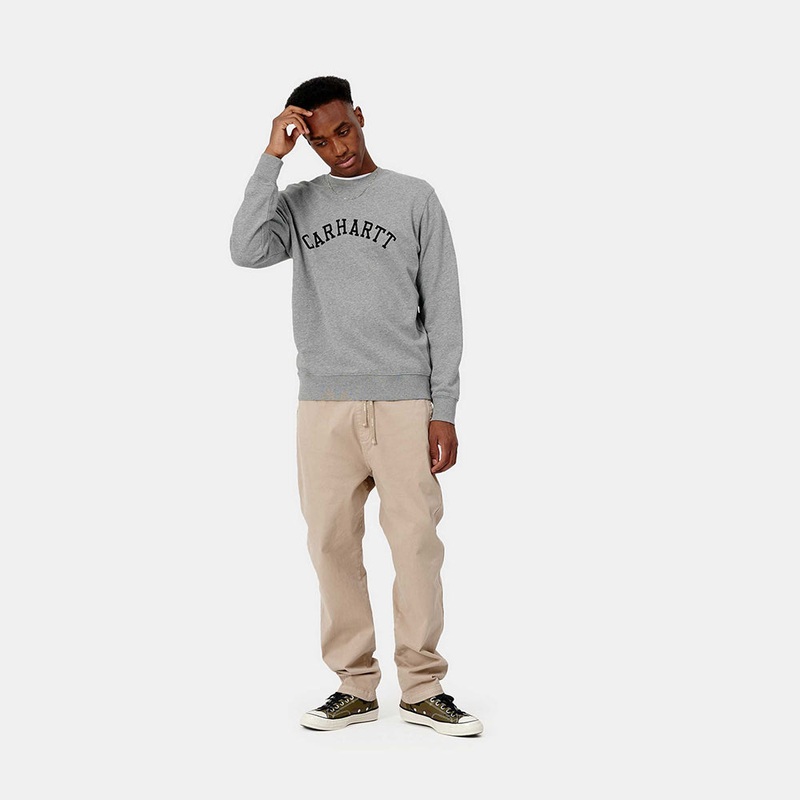 Carhartt University Sweatshirt