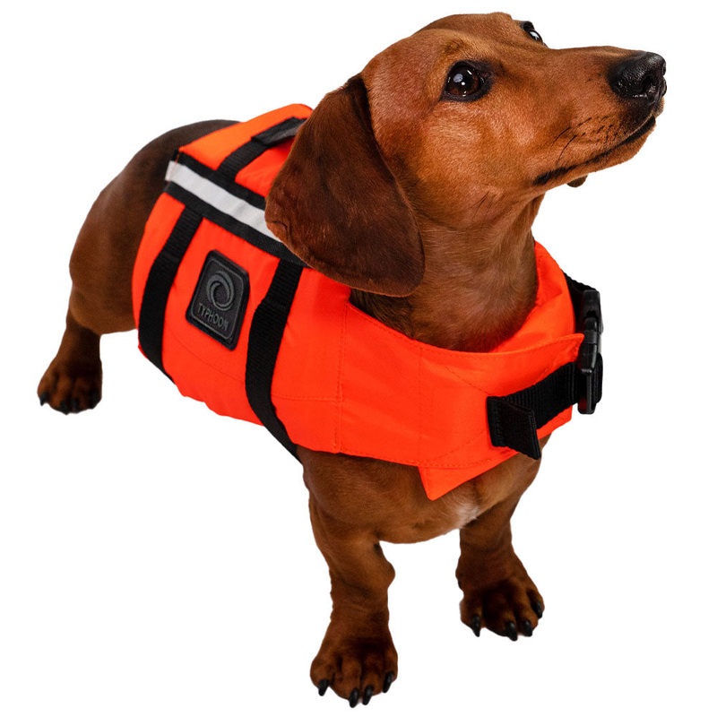 Typhoon Totland Dog Bouyancy Vest - Orange/Black