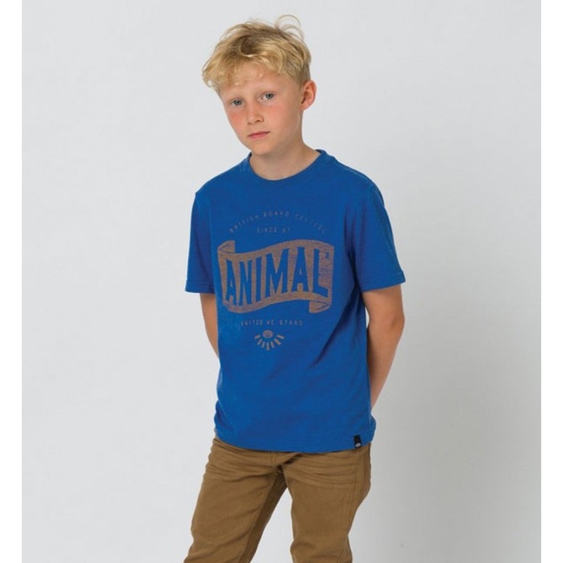 Animal Boys Scroll Short Sleeved T Shirt