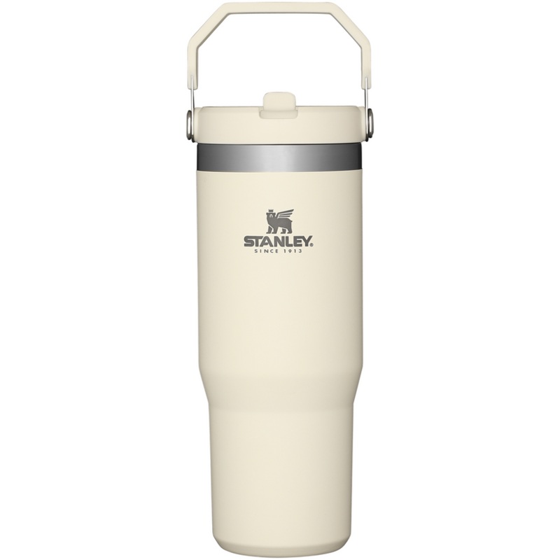 STANLEY ICEFLOW FLIP STRAW 10-09993