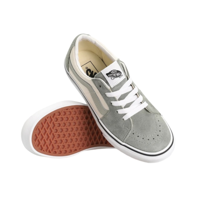 Vans Skate Low