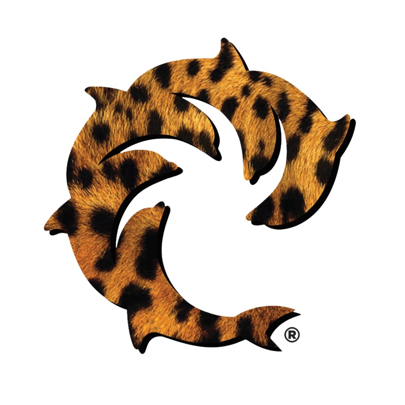 Cheetah Decal