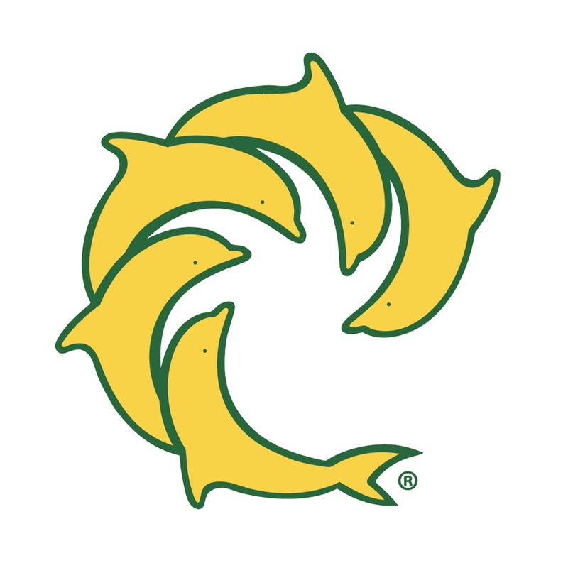 Pinline Solid Decal
