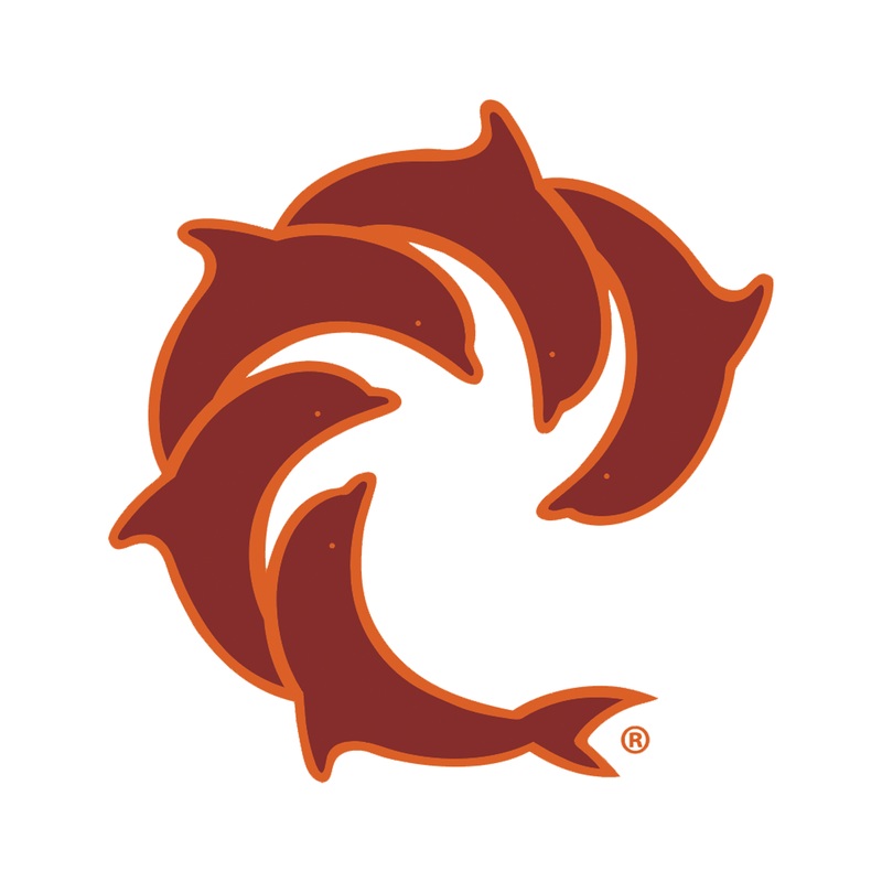 Solid Pinline Decal